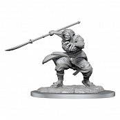 D&D Nolzur\'s Marvelous Miniatures Unpainted Miniatures Oni Female Case (4)