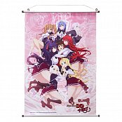 High School DxD Wallscroll Group 60 x 86 cm