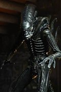 Alien Action Figure 18 cm 40th Anniversary Series 3 Assortment (14)