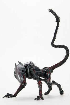 Aliens Action Figure Night Cougar Alien (Kenner Tribute) 23 cm