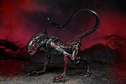 Aliens Action Figure Night Cougar Alien (Kenner Tribute) 23 cm