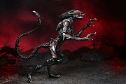 Aliens Action Figure Night Cougar Alien (Kenner Tribute) 23 cm