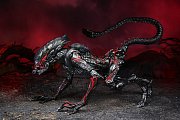 Aliens Action Figure Night Cougar Alien (Kenner Tribute) 23 cm