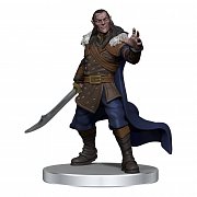 D&D Icons of the Realms: Curse of Strahd pre-painted Miniatures Denizens of Castle Ravenloft