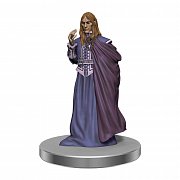 D&D Icons of the Realms: Curse of Strahd pre-painted Miniatures Denizens of Castle Ravenloft