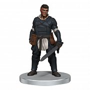 D&D Icons of the Realms pre-painted Miniatures Waterdeep: Dragonheist Box Set 2
