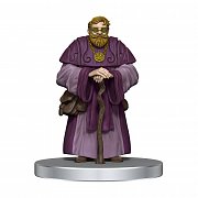 D&D Icons of the Realms pre-painted Miniatures Waterdeep: Dragonheist Box Set 2