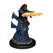 D&D Icons of the Realms Premium Miniature pre-painted Human Wizard Female Case (6)