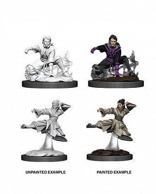 D&D Nolzur\'s Marvelous Miniatures Unpainted Miniatures Female Human Monk Case (6)