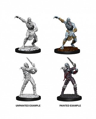 D&D Nolzur\'s Marvelous Miniatures Unpainted Miniatures Wight & Ghast Case (6)