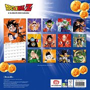 Dragon Ball Z Calendar 2021 *English Version*