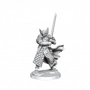 Dungeons & Dragons Frameworks Miniature Model Kit Dragonborn Paladin Male