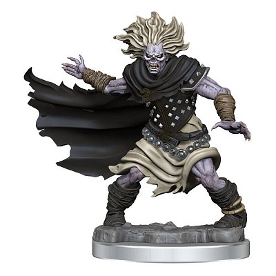 Dungeons & Dragons Frameworks Miniature Model Kit Wight