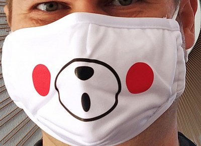 Face Mask Bear
