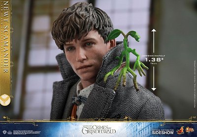 Fantastic Beasts 2 Movie Masterpiece Action Figure 1/6 Newt Scamander 30 cm