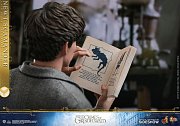 Fantastic Beasts 2 Movie Masterpiece Action Figure 1/6 Newt Scamander 30 cm