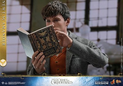 Fantastic Beasts 2 Movie Masterpiece Action Figure 1/6 Newt Scamander 30 cm