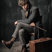 Fantastic Beasts Replica 1/1 Newt Scamander Suitcase Limited Edition --- DAMAGED PACKAGING