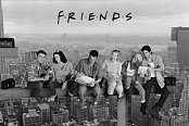 Friends Poster Pack Skyscraper 61 x 91 cm (5)