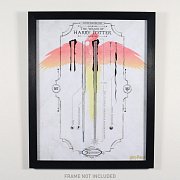 Harry Potter Art Print Limited Edition Fan-Cel 36 x 28 cm