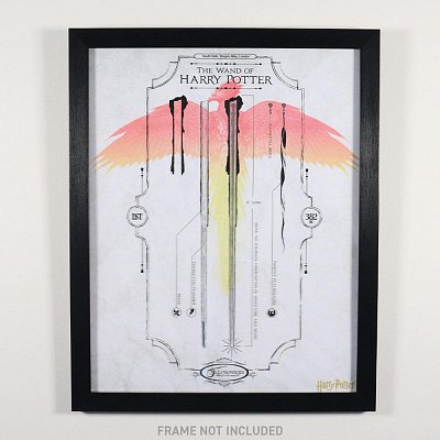 Harry Potter Art Print Limited Edition Fan-Cel 36 x 28 cm