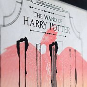 Harry Potter Art Print Limited Edition Fan-Cel 36 x 28 cm