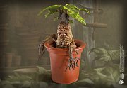 Harry Potter Magical Creatures Statue Mandrake 13 cm