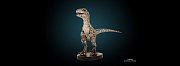 Jurassic World Fallen Kingdom Statue 1/1 Baby Blue 61 cm