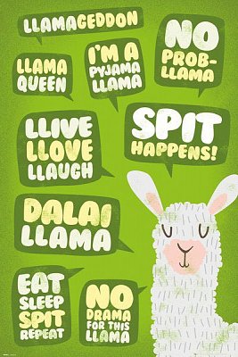 Llama Poster Pack Quotes 61 x 91 cm (5)