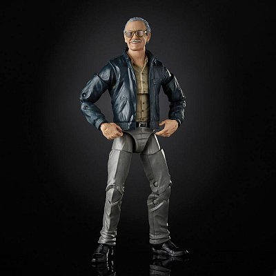 Marvel Legends Series Action Figure Stan Lee (Marvel\'s The Avengers) 15 cm