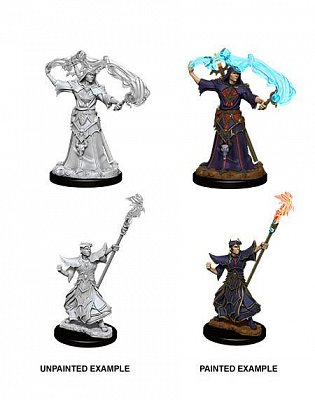 Pathfinder Battles Deep Cuts Unpainted Miniatures Male Human Sorcerer Case (6)