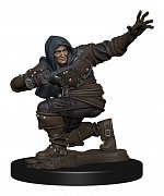 Pathfinder Battles Premium Miniature pre-painted Human Rogue Male Case (6)