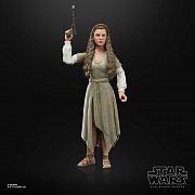 Star Wars Episode VI Black Series Action Figure 2022 Princess Leia (Ewok Village) 15 cm