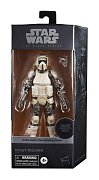 Star Wars The Mandalorian Black Series Carbonized Action Figure 2021 Scout Trooper 15 cm