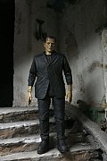 Universal Monsters Action Figure Ultimate Frankenstein\'s Monster (Color) 18 cm