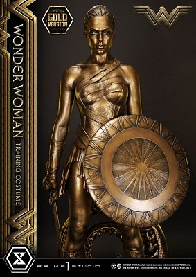 Wonder Woman Statue Wonder Woman Training Costume Gold Version 80 cm