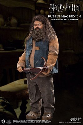 Harry Potter My Favourite Movie Action Figure 1/6 Rubeus Hagrid 2.0 40 cm --- DAMAGED PACKAGING