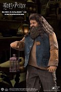 Harry Potter My Favourite Movie Action Figure 1/6 Rubeus Hagrid 2.0 40 cm --- DAMAGED PACKAGING