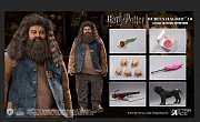 Harry Potter My Favourite Movie Action Figure 1/6 Rubeus Hagrid 2.0 40 cm --- DAMAGED PACKAGING