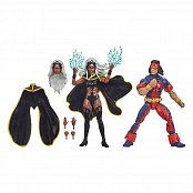 Marvel Legends Action Figure 2-Pack Storm & Marvel\'s Thunderbird 15 cm --- DAMAGED PACKAGING